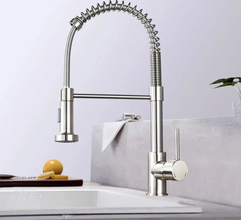 Robinet de Cuisine Professionnel à Douchette Extractible