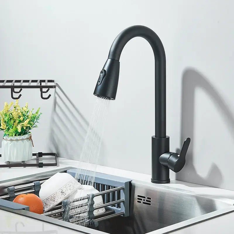 Robinet de Cuisine en Inox avec Douchette