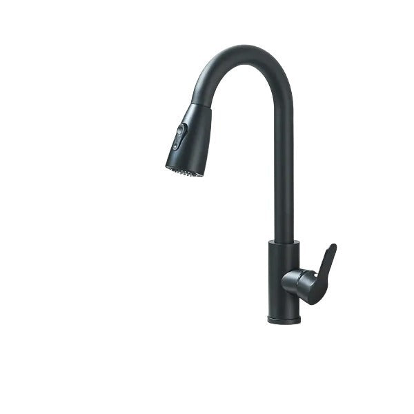 Robinet de Cuisine en Inox avec Douchette