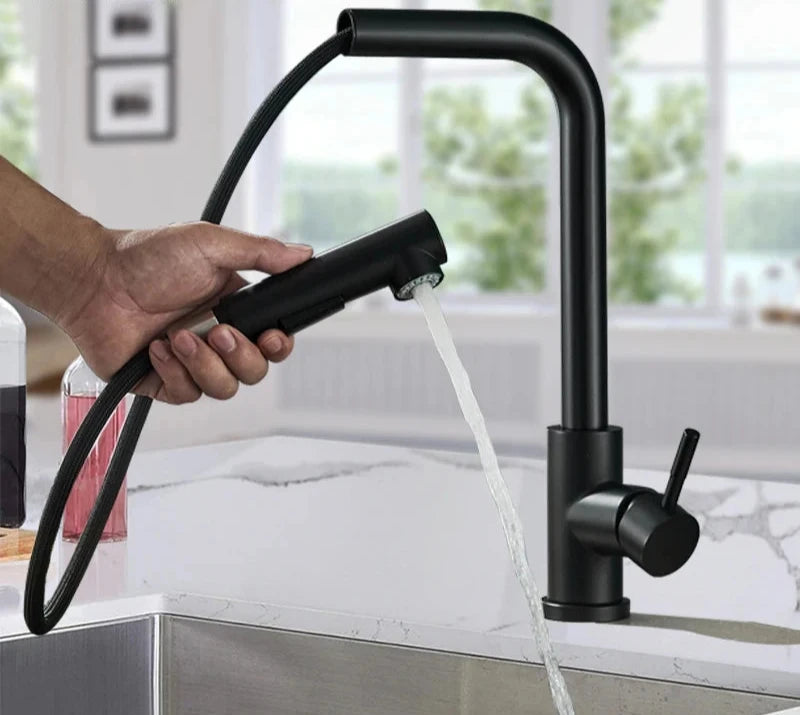 Robinet Mitigeur de Cuisine Rétractable en Acier Inoxydable avec Douchette