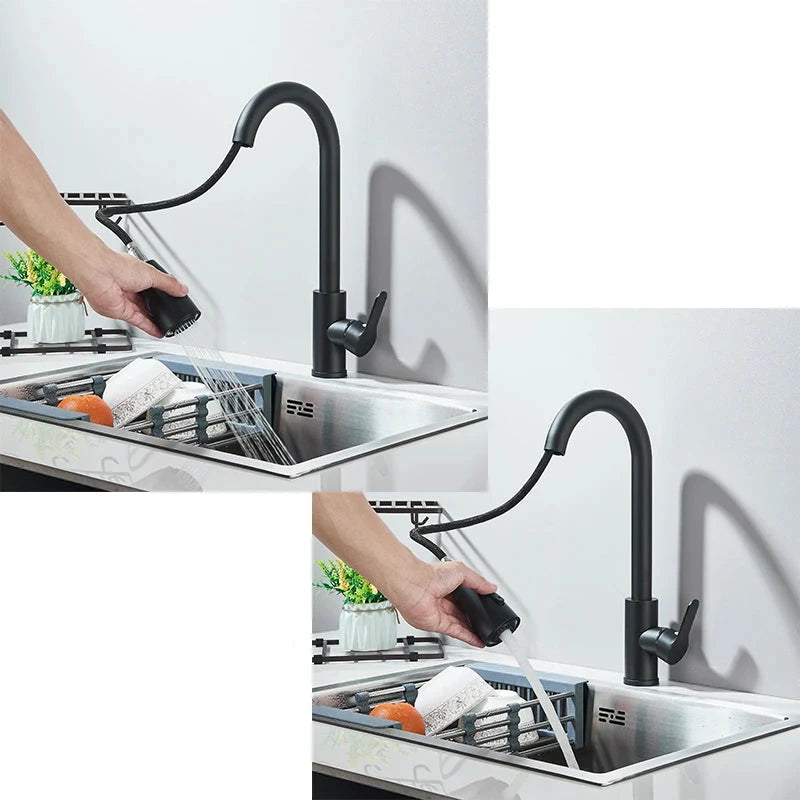 Robinet de Cuisine en Inox avec Douchette