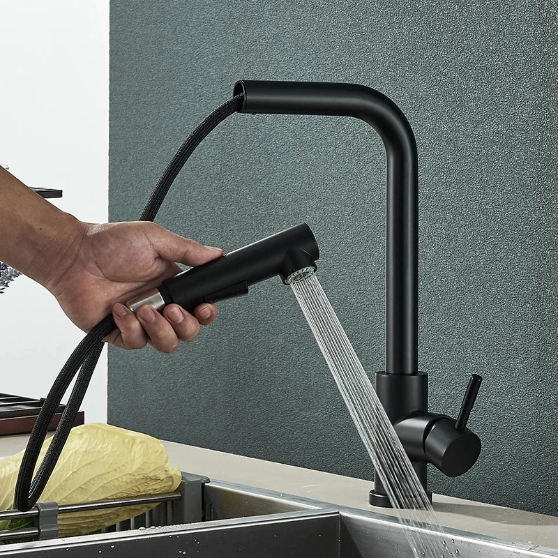 Robinet Mitigeur de Cuisine Rétractable en Acier Inoxydable avec Douchette