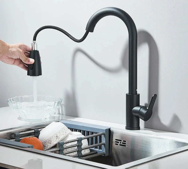 Robinet de Cuisine en Inox avec Douchette