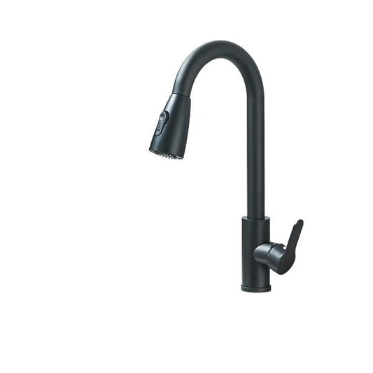 Robinet de Cuisine en Inox avec Douchette